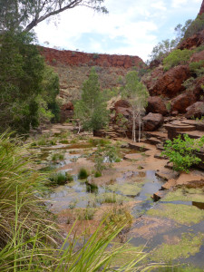 Walk to Cirular Pool