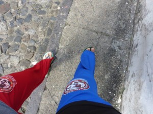 Mestre Bimba colours