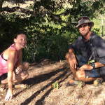 Sleeping Komodo at the top of Fregata Hill