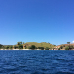 Great snorkelling around the mangroves. So much life! Shame the camera broke!