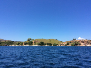 Great snorkelling around the mangroves. So much life! Shame the camera broke!