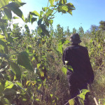 Our guide through the jungle