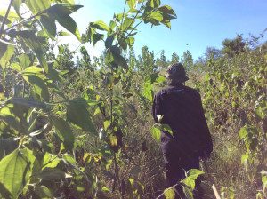 Our guide through the jungle