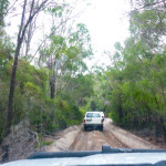 First tracks of the day!