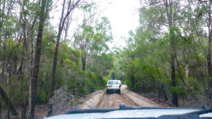 First tracks of the day!