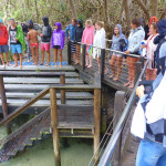 Not so keen on getting in!